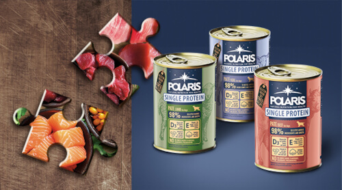 POLARIS_BP_pate_500